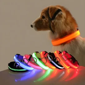 🌟🐕 צווארון ניילון זוהר לכלב – בטיחות בלילה עם אור מהבהב! תשמור על הכלב שלך בולט ונראה גם בחושך, עם צווארון ניילון איכותי ומואר.